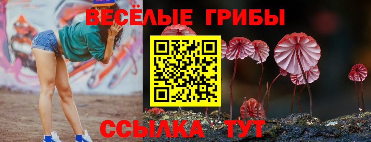 Галлюциногенные грибы Cubensis Первоуральск